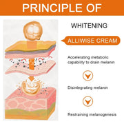 Anti-Aging Anti Wrinkle Vitamin C Face Cream